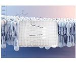 Porvair Sciences offers next generation microplate for phospholipid removal