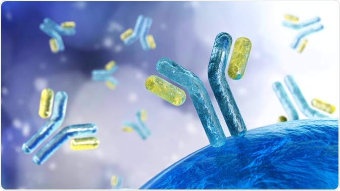Immunoglobulins Immunoglobulins