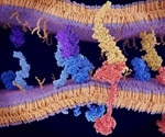 What is Mechanobiology?