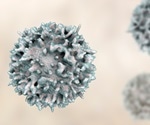 B cell count tells how certain cancers will respond to immunotherapy