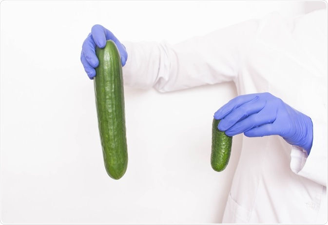 Penis Enlargement