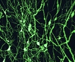 What is Time-Resolved Fluorescence Spectroscopy?