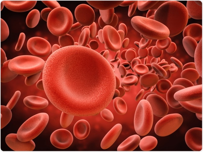 Red Blood Cells Red Blood Cells