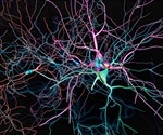 Addiction and Dopamine