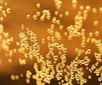 Identifying American Lagers with NMR Spectroscopy