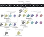 Researchers present COVID RdRp structure at 2.5A