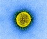 SARS-CoV-2 survives on human skin for 9 hours