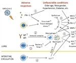Lung biomarkers may predict severe COVID-19