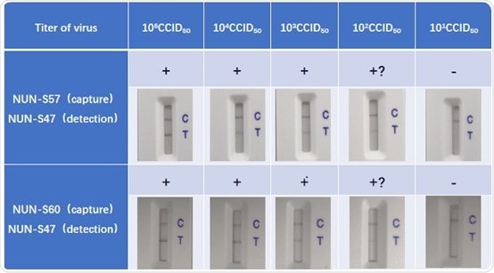 Assay Data