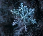 The Benefits of Vapor Cryogenic Storage Compared to Liquid Storage