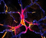The road to achieving single molecular spectroscopy using nanoIR