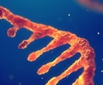 New research on small non-coding RNAs and SARS-CoV-2