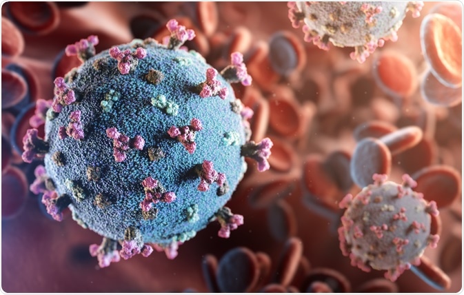 SARS-CoV-2 Virus
