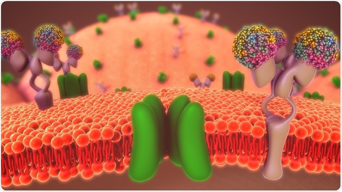 Membrane Proteins