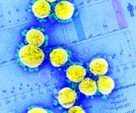 Discovery of novel hidden gene in SARS-CoV-2