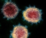 Accelerated biological aging not a risk factor for severe COVID-19, say researchers