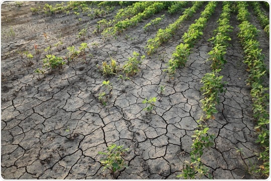 Effects of Soil Compaction Effects of Soil Compaction
