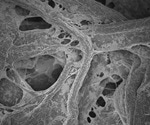 SARS-CoV-2 deactivation on surfaces in 30 seconds with a copper paste