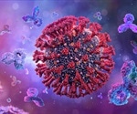 Evidence of robust and persistent antibodies against SARS-CoV-2