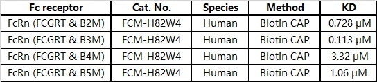 Supporting Therapeutic Antibody Development with Fc Receptor Affinity Testing