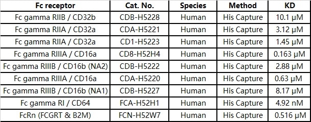 Supporting Therapeutic Antibody Development with Fc Receptor Affinity Testing