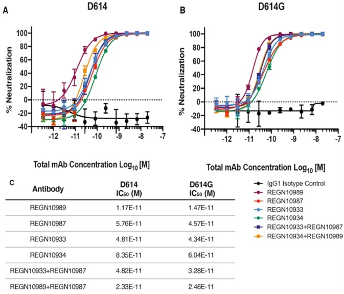 Neutralization Potency of Monoclonal Antibodies Targeting the SARS-CoV-2 S Protein Receptor-Binding Domain Is Not Attenuated by D614G
