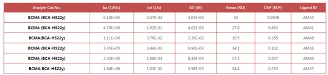 Anti- BCMA antibodies (Mouse IgG1) captured on CM5 chip via anti-Mouse IgG antibody, can bind Human BCMA Protein, His Tag (Cat. No. BCA-H522y) as screened assay in a SPR (Biacore T200)