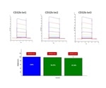 Process of Antibody Drug Development with SPR&BLI Analytical Service