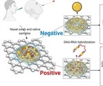 A paper-based sensor for detecting COVID-19