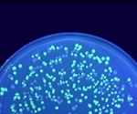An Overview of Fluorescent Protein Tags