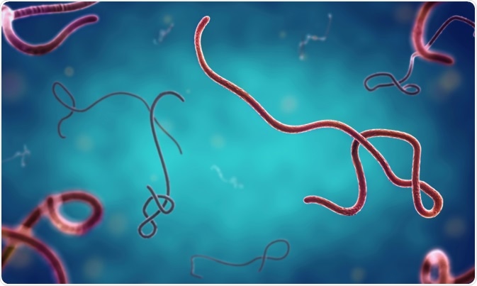 ebola