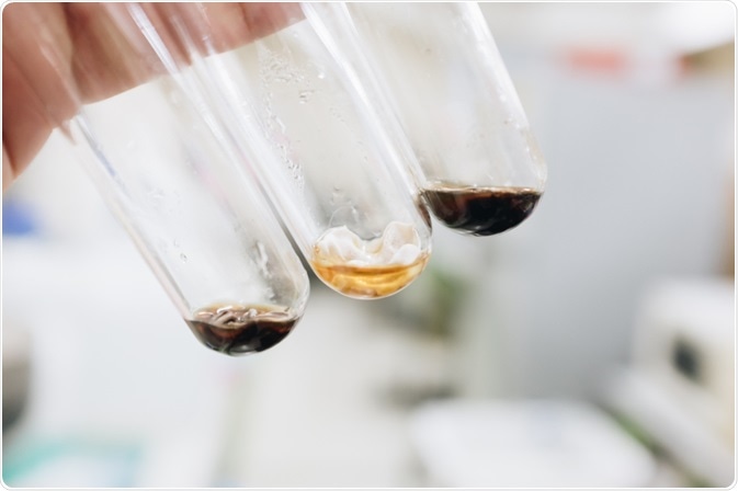 bioremediation