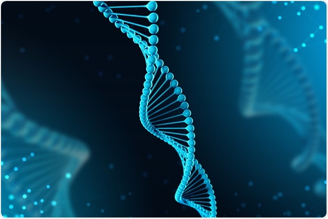 nucleotide