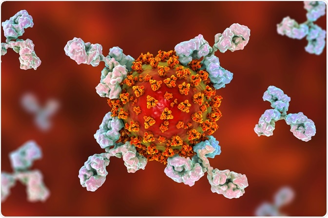 covid antibodies
