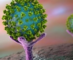 SARS-CoV-2 deletion mutations may have attenuated infectivity in some strains