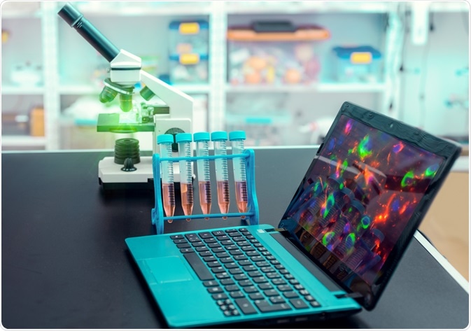 fluorescence microscopy