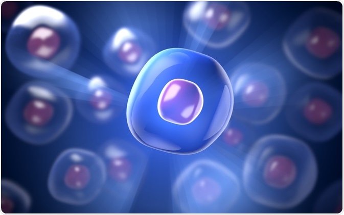 cell