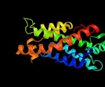 What are Glycosphingolipids?