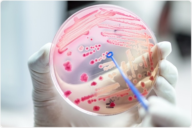 antimicrobial