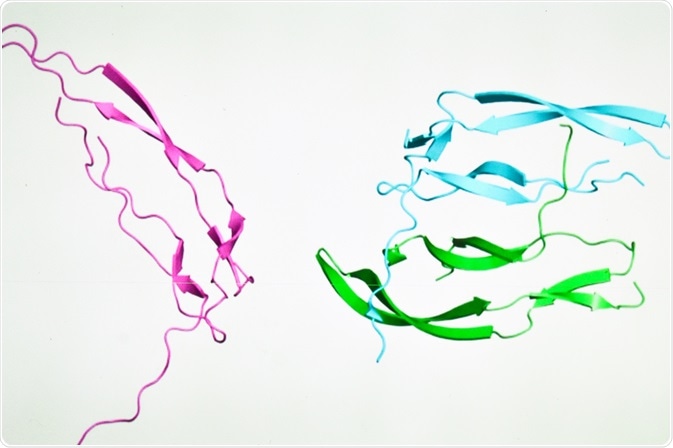 macromolecules