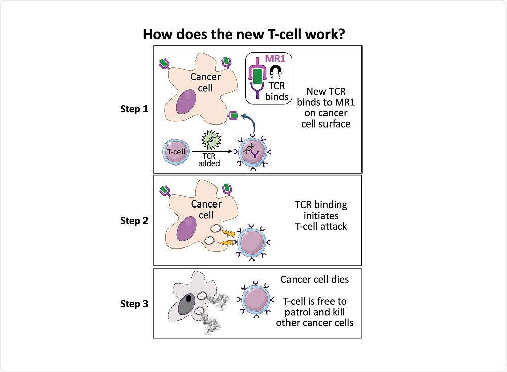 T-Cell Treatment T-Cell Treatment