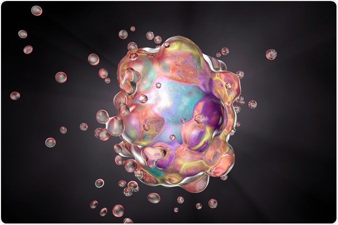 Apoptosis Apoptosis
