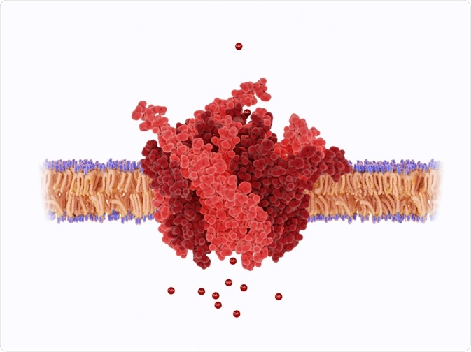 Calcium Signaling Calcium Signaling