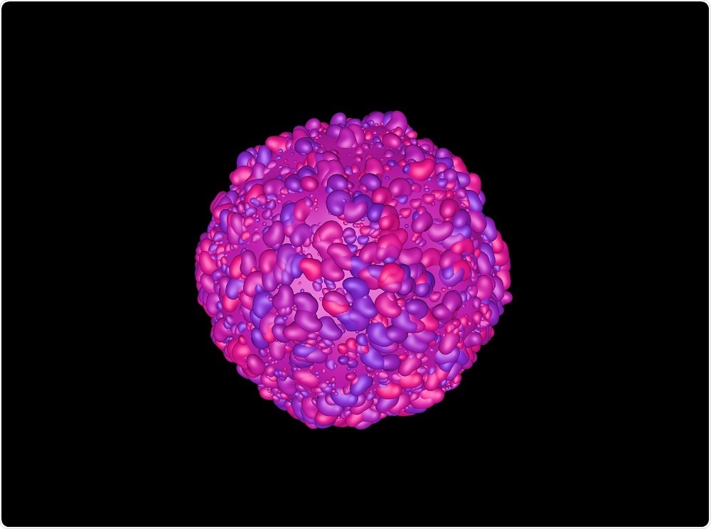 T-cell