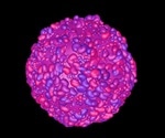 Isolating Single T-cells of Interest using an Optofluidic Platform