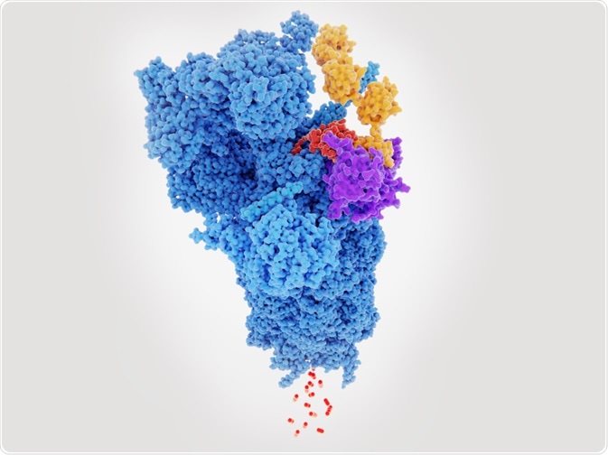 Proteins Proteins
