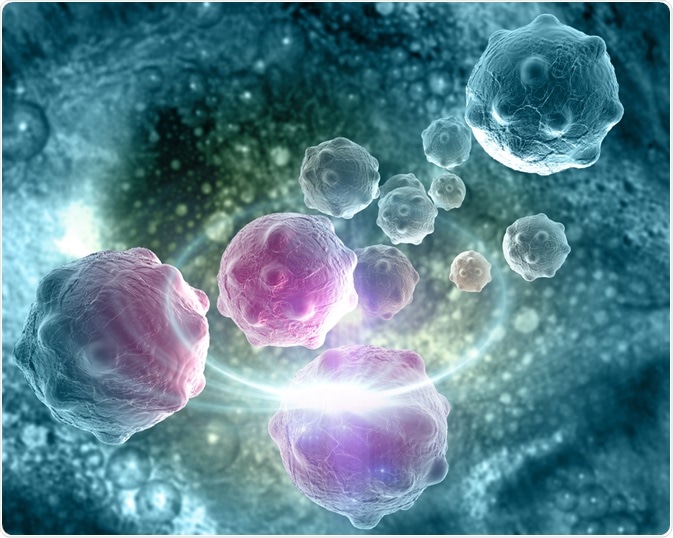 Cancer Cell Cancer Cell