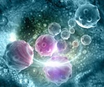 Why are Cancer Cell Lines Useful?