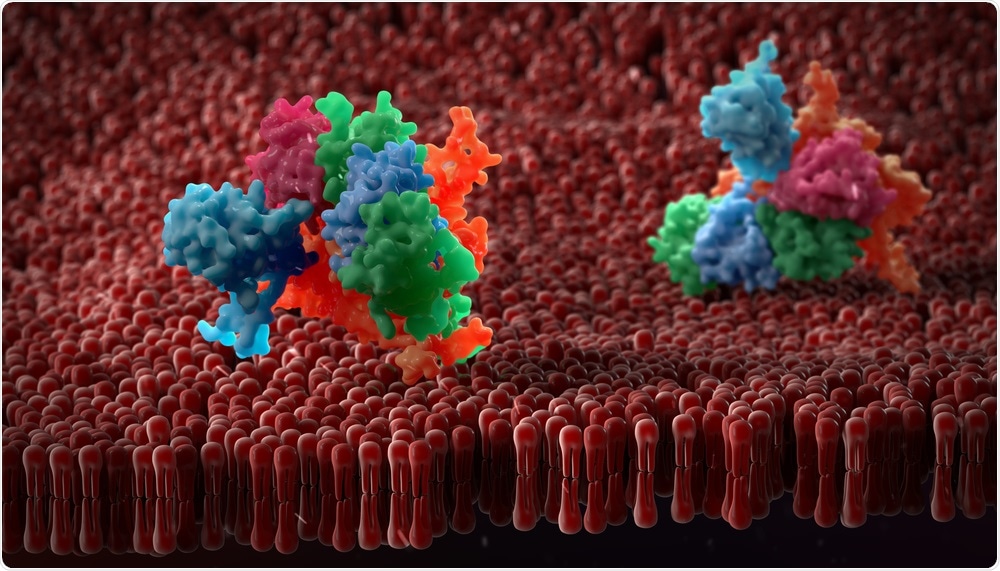 Proteins
