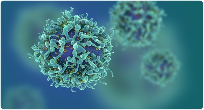 Cancer Cell